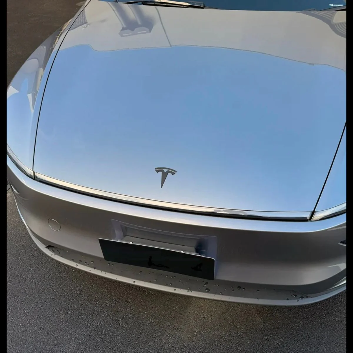 Tesla Model Y Logo Zwart Juniper - Image 2