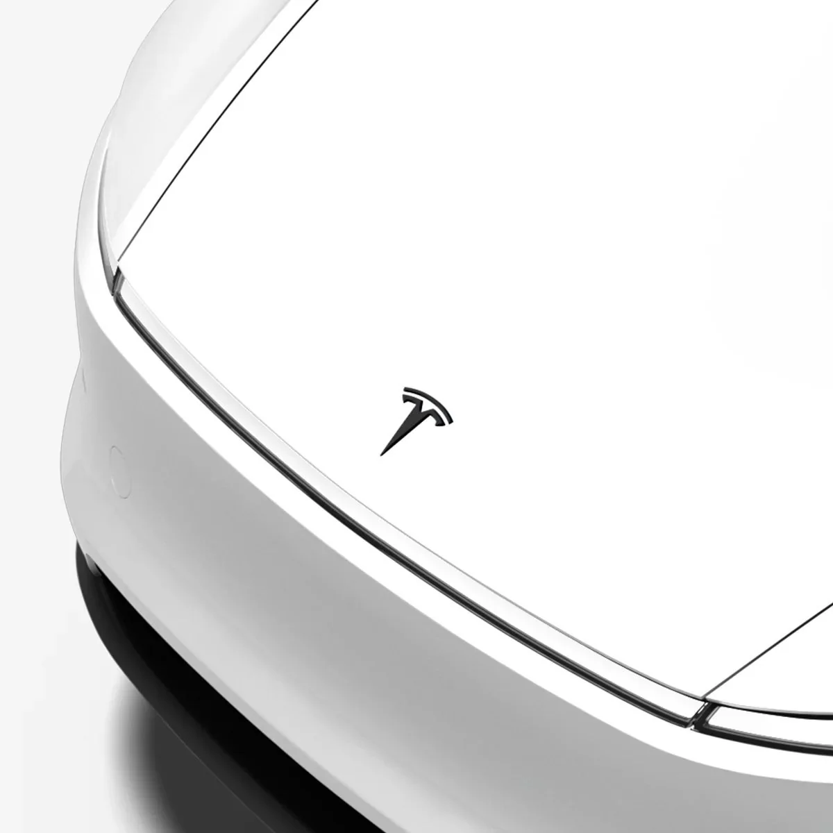 Tesla Model Y Logo Zwart Juniper - Image 3