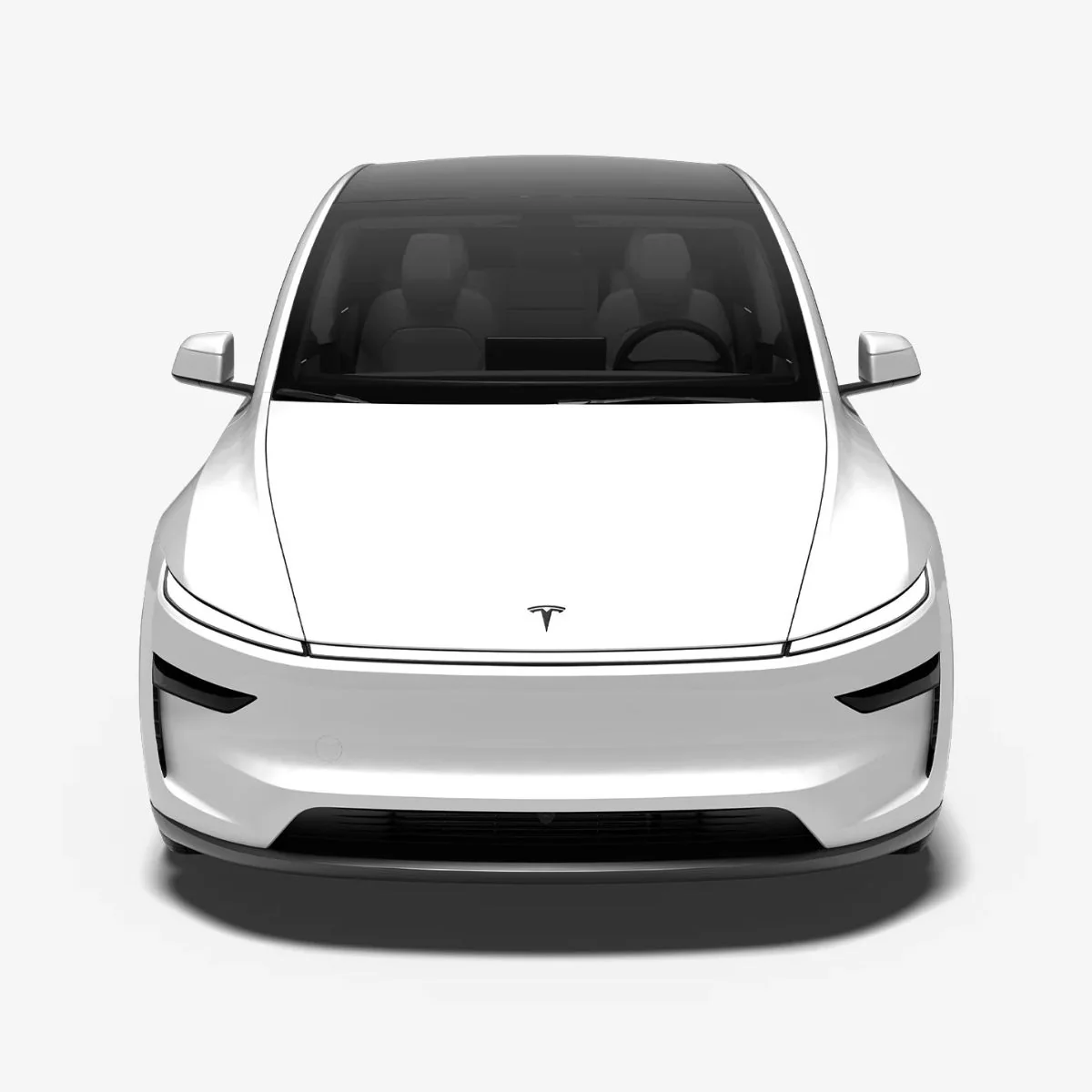 Tesla Model Y Logo Zwart Juniper - Image 5