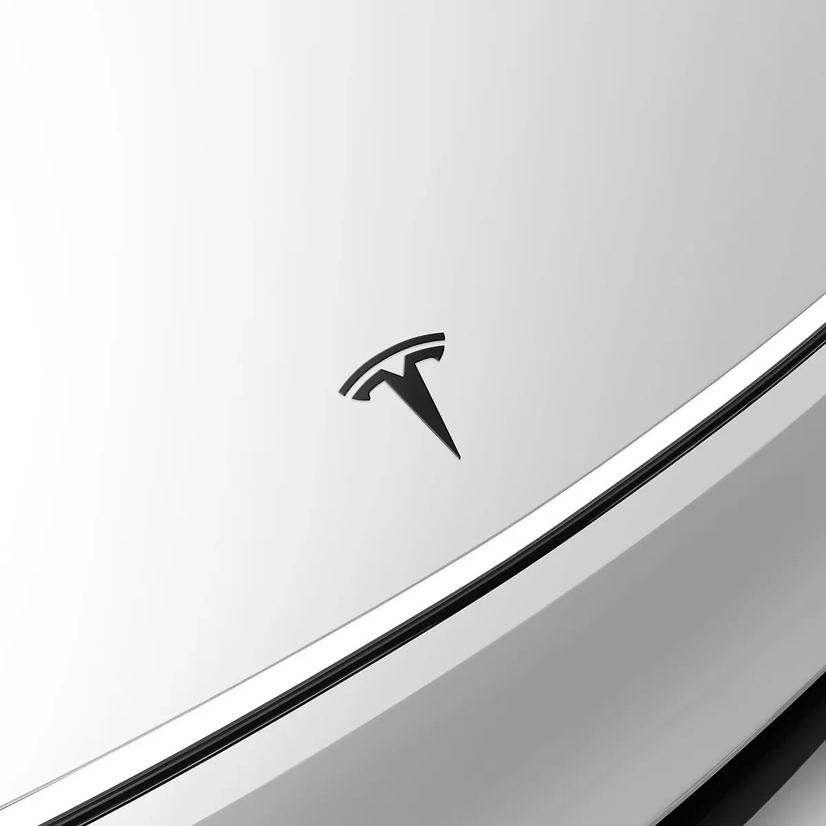 Tesla Model Y Logo Zwart Juniper - Image 7