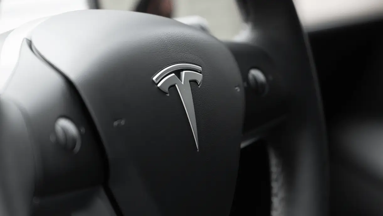 Tesla Model Y Logo Emblemen Zwart - Image 4